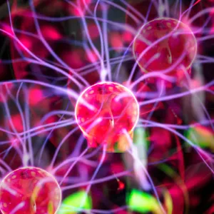 Illustration of human brain activity